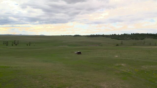 Cowboys on a Horse Carriage moving along the countryside at sunset. Located in Black Forest, Colorado, near Flying Horse Ranch. Aerial 4K drone video 
