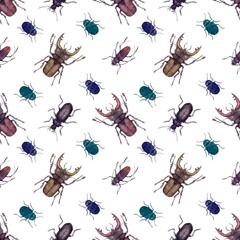 Seamless pattern with watercolor beetles of different shapes and sizes on a white background. Hand-drawn, running insects top view. Design for textiles, packaging, wrapping.