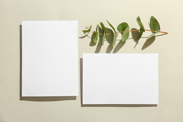 Composition with blank cards and eucalyptus branch on grey background