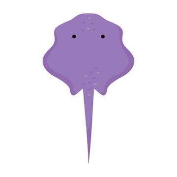purple stringray sealife animal