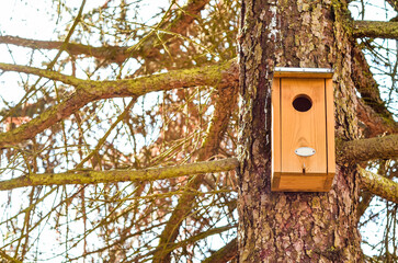 View of bird house on tree