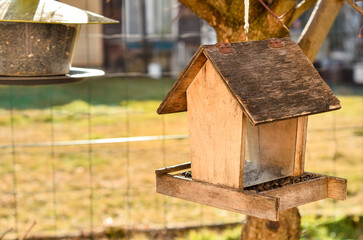 View of bird house in village, closeup