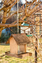 View of bird house in village, closeup