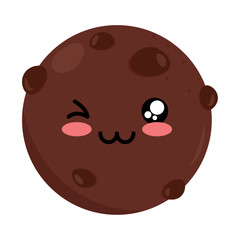 sweet cookie of chocolate character