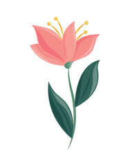 pink flower spring icon