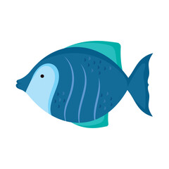 Colorful underwater sea life in vector illustration