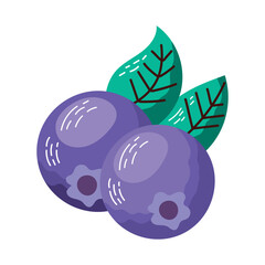 fresh blackberry design