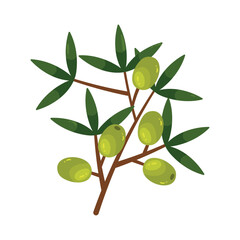 Fresh green olives and leaves on branch
