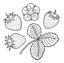 Hand-drawn strawberry
