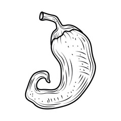 chili vegetable icon