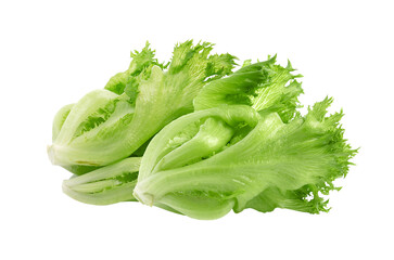 lettuce on transparent png