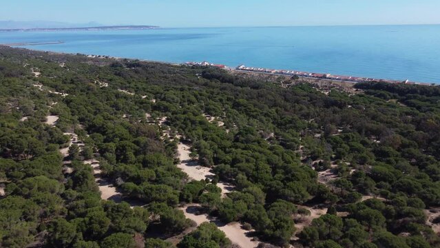 Guardamar del Segura: A Bird's Eye View of the Forest and Coastline