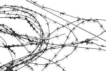 barbed wire on a white background
