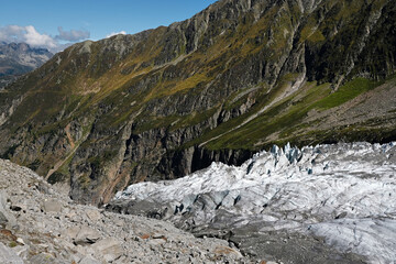 Summer nature landscape with Argentiere Glacier, Chamonix area, Haute Savoie, France
