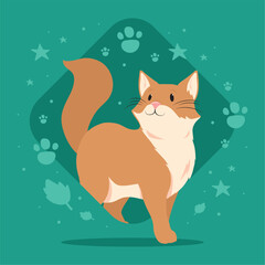 cute little cat walking