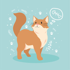 cat walking and thinking in food