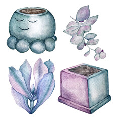 Set of stylized home plants succulents and flower pot. Watercolor illustration
