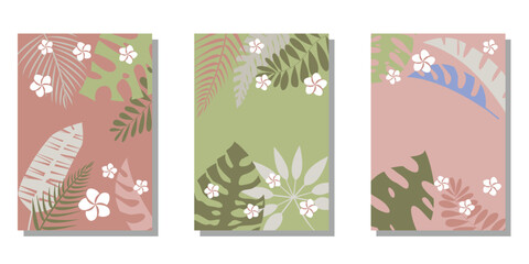  Set of tropical leaves decoration frame. Summer tropical concept cover design collection. Summer botanical template. vector illustration.