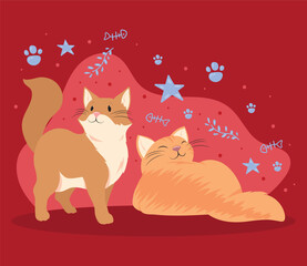 cats lying and walking