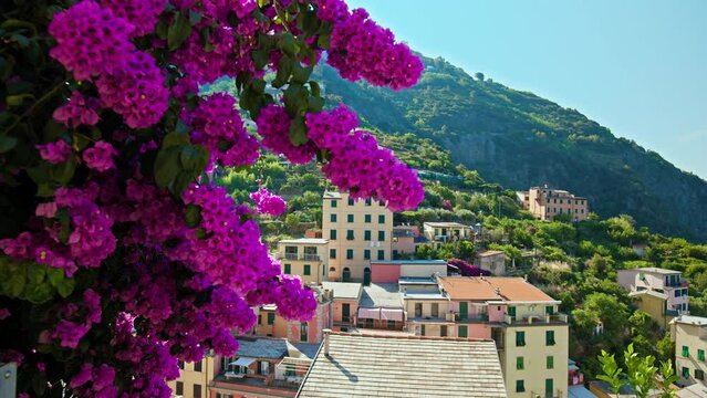 Beautiful seaside village of Riomaggiore in Italy. The most southern village of the five Cinque Terre with a small beach and a wharf framed by colorful tower houses in Europe.