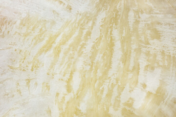 Turnip cut structure inside close-up background, uniform texture