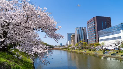 Fleecedeken met foto Kersenbloesem 桜  © 崇広 藤本