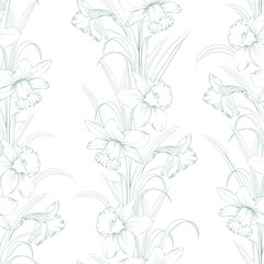 Fototapeta premium Narcissus seamless pattern on white background.