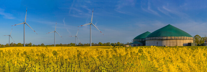 Wide sunlit field that shines in warm yellow tones. In the background, majestic wind turbines rise...