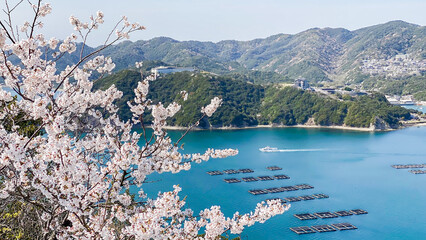 淡路島の若人の広場公園