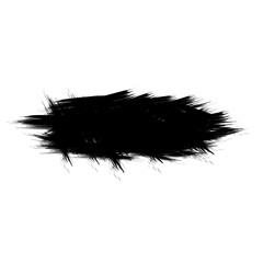 Fototapeta premium Brush