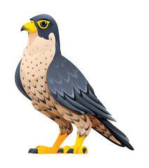 Peregrine falcon cartoon illustration isolated on white background