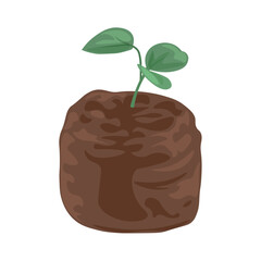 Young sprout with soil on white background