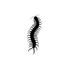 vector illustration of a centipede silhouette