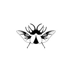 vector illustration of a beetle insect