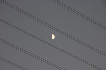 the electric wire and the moon
