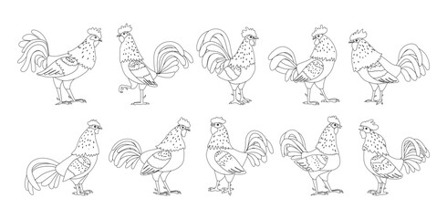 Collection of roosters line art. A set of 10 different roosters, as a symbol or mascot, for children's books and cards