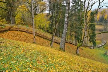 Beautiful autumn landscape. Wooden descent to the river. Place for a picnic in the forest. Trail...