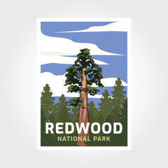 Redwoods National park in California poster illustration design. - obrazy, fototapety, plakaty