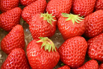 新鮮な完熟イチゴ