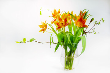 Orange tulip bouquet with some spring branches in a glass vase against a very light background, holiday greeting card for Easter or Mothers day, copy space, selected focus