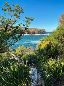 Beautiful view from above at Wattamolla, from the coastal walking trail to Providence Point in Royal National Park, located South of Sydney, NSW, Australia.
