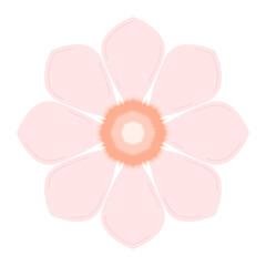 Fototapeta premium Pastel flowers with eight petals.