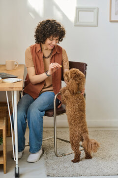 Vertical image of young woman feeding her dog while sitting at table with computer