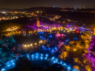Wuhan East Lake Mushan Cherry Blossom Garden Night scenery