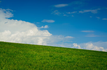 Background with green grass and blue sky with white clouds