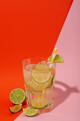 Glass of mojito, delicious fresh summer cocktail