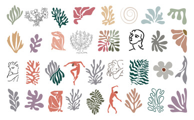 Fototapeta na wymiar Set of abstract organic shapes, exotic jungle leaves, female nude silhouettes, algae in trendy Matisse inspired style. Contemporary art vector illustration on transparent background. 