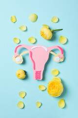 Women's health and women's healthcare concept with uterus