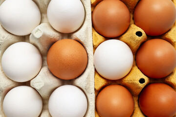 Ingredient for cooking dishes- eggs, top view