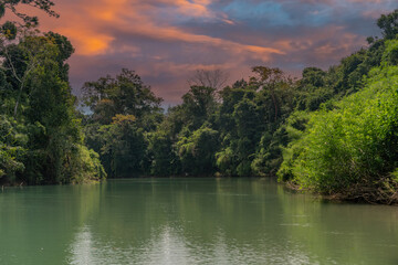 Canal in the national park of Tortuguero with its tropical rainforest along the Caribbean Coast of Costa Rica, Central America.